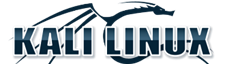Web Solution Service Providers in Chennai